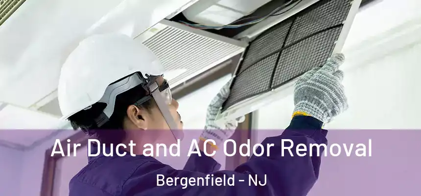  Air Duct and AC Odor Removal Bergenfield - NJ