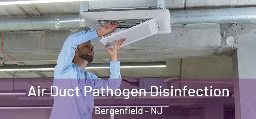  Air Duct Pathogen Disinfection Bergenfield - NJ