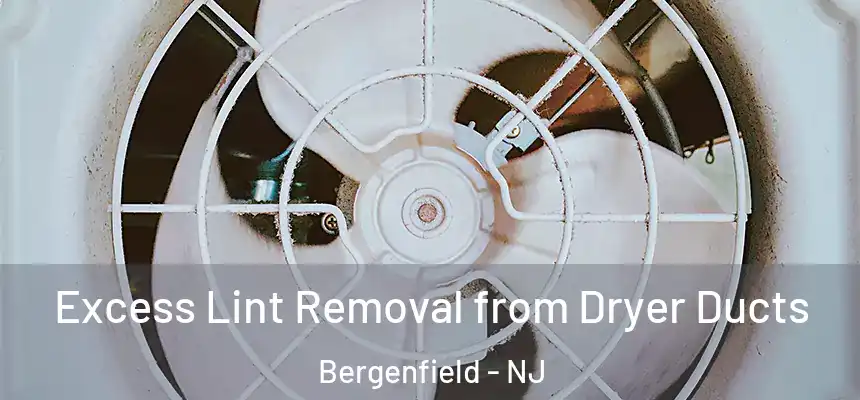  Excess Lint Removal from Dryer Ducts Bergenfield - NJ