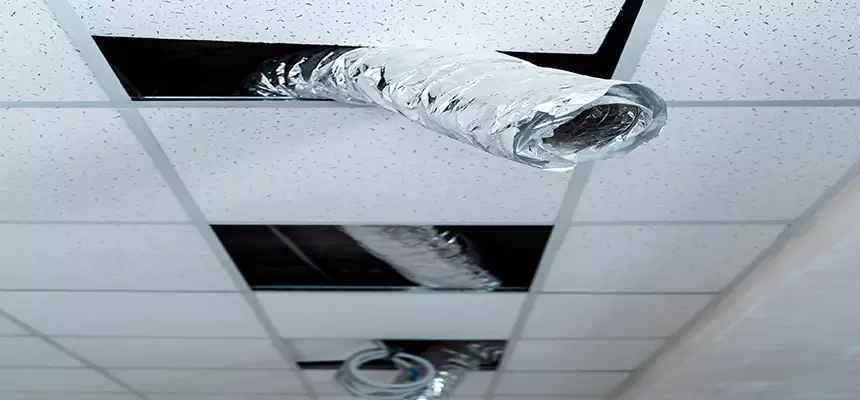 Our Air Duct Pet Hair Removal Services in Bergenfield, NJ