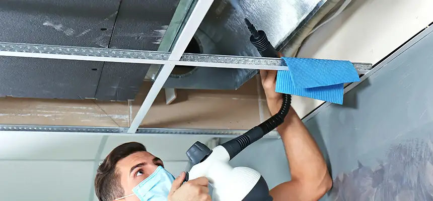 Our Air Duct Rodent Removal Services in Bergenfield, NJ