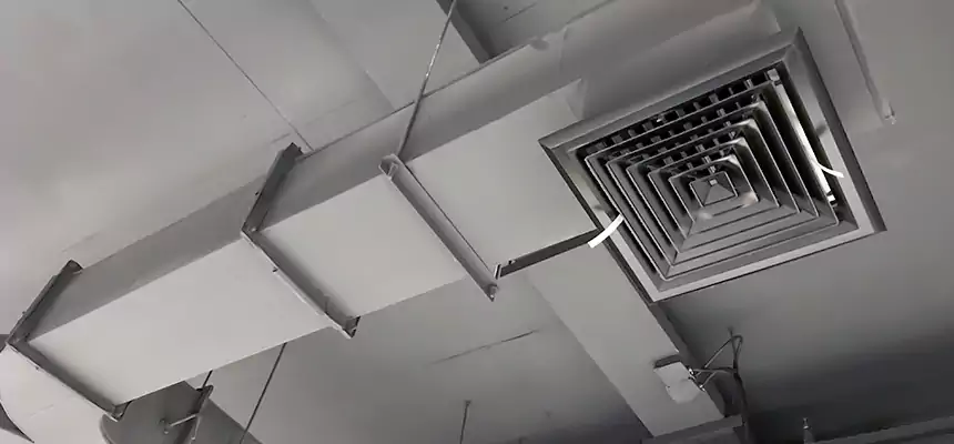 Restorative Allergy Relief Vent Cleaning – Coil, Blower & Housing Detail in Bergenfield