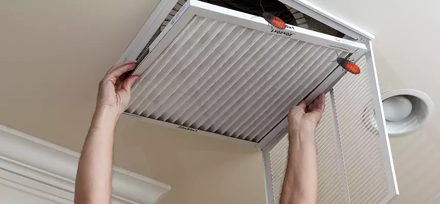 Our Insect Removal from Air Ducts Services in Bergenfield, NJ