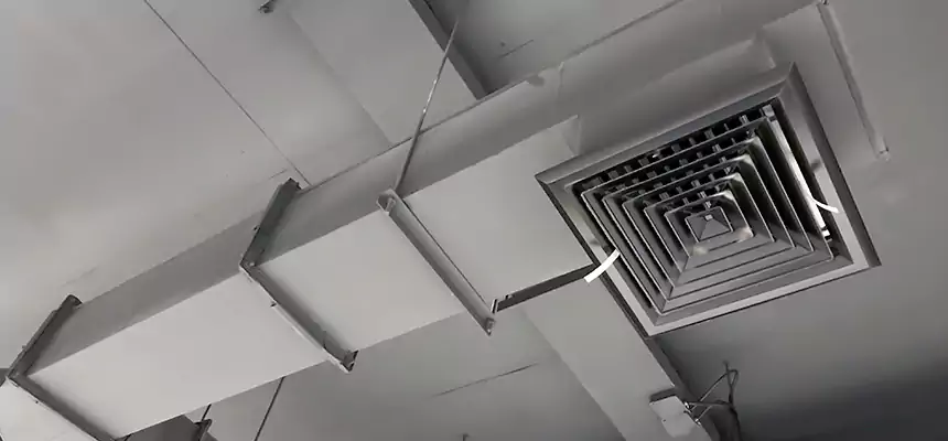 Our Rodent Droppings In Vents Services in Bergenfield, NJ