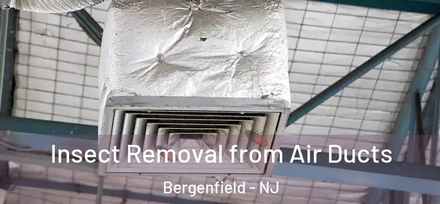  Insect Removal from Air Ducts Bergenfield - NJ