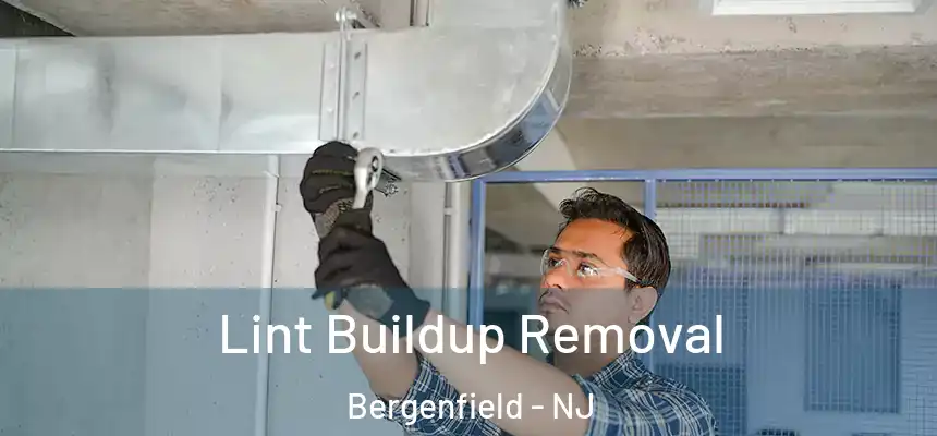  Lint Buildup Removal Bergenfield - NJ