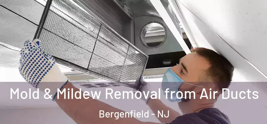  Mold & Mildew Removal from Air Ducts Bergenfield - NJ