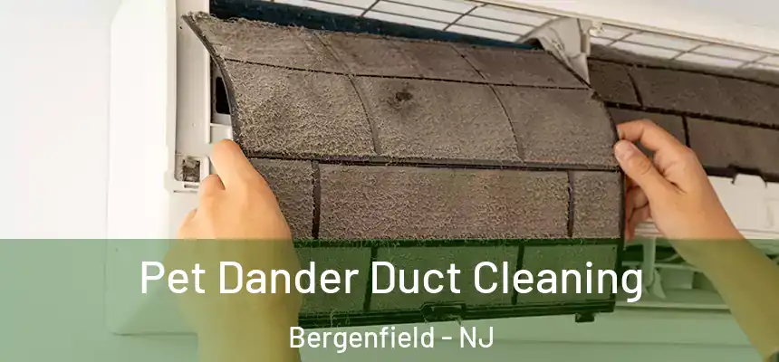  Pet Dander Duct Cleaning Bergenfield - NJ