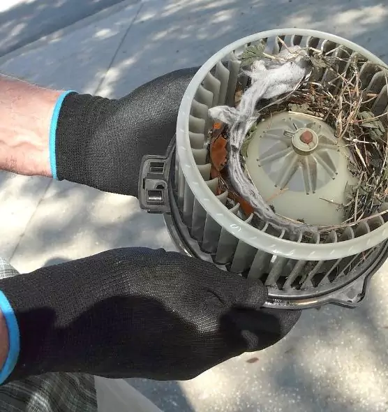 About Air Duct Rat Removal in Bergenfield, NJ