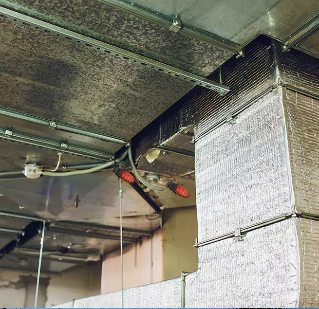 Why Homeowners & Businesses Trust Us in Bergenfield, NJ?